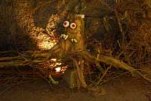 Иллюстрация с сайта pelhrimovsko.cz