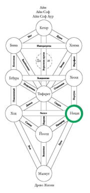 Сефира Нецах на Древе Жизни