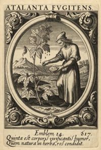 Эмблема XIV, «Atalanta Fugiens»