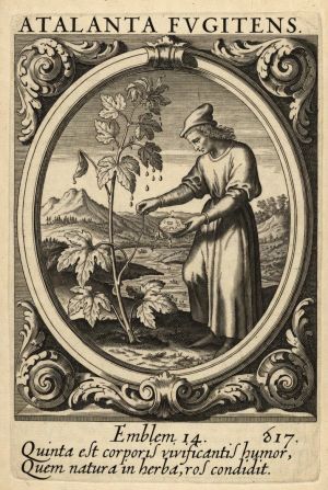 Эмблема XIV, «Atalanta Fugiens»