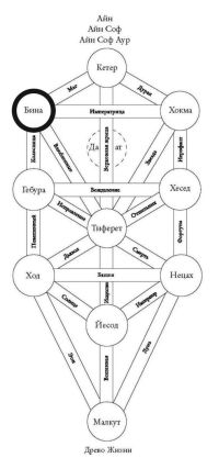 Сефира Бина на Древе Жизни
