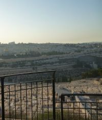 Масличная гора (Иерусалим). Вид со смотровой площадки. Фото А. Момы (сентябрь 2012 г.).