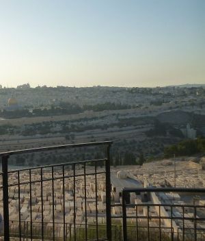 Масличная гора (Иерусалим). Вид со смотровой площадки. Фото А. Момы (сентябрь 2012 г.).